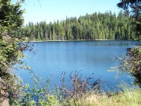 Swan Lake